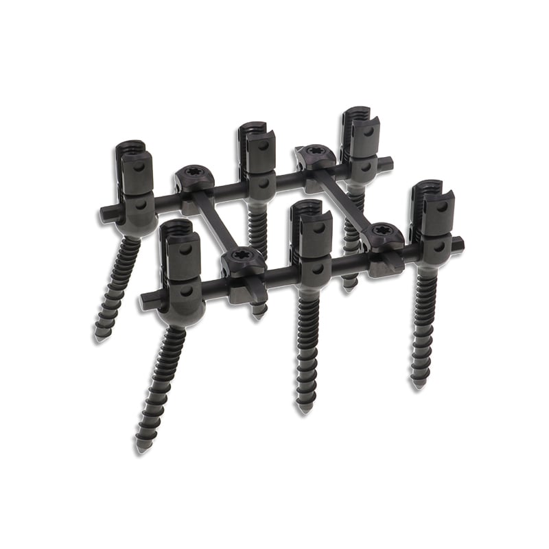 Posterior Spinal Screw-Rod System